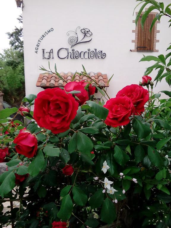 Agriturismo La Chiocciola Poggio Murella Exteriör bild